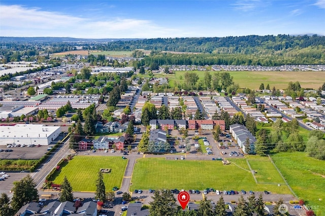 bird's eye view