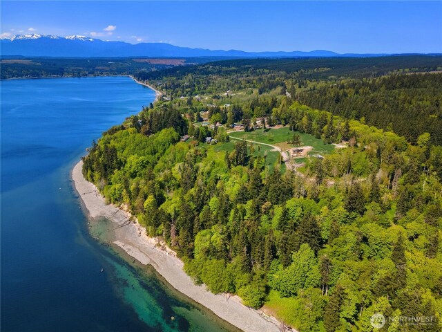 131 Linda View Dr, Port Ludlow, WA 98365 - photo 3