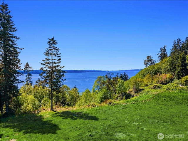 131 Linda View Dr, Port Ludlow, WA 98365 - photo 6