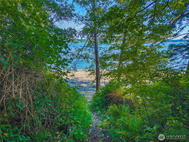 131 Linda View Dr, Port Ludlow, WA 98365 - photo 12