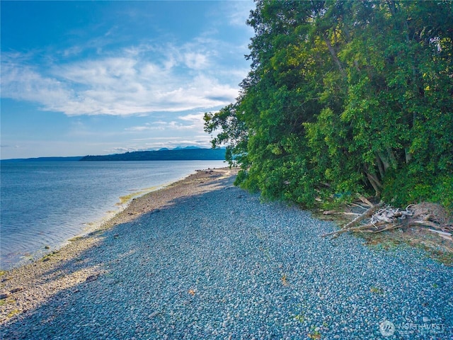 131 Linda View Dr, Port Ludlow, WA 98365 - photo 13