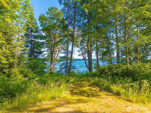 131 Linda View Dr, Port Ludlow, WA 98365 - photo 21