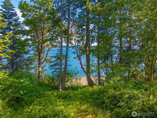 131 Linda View Dr, Port Ludlow, WA 98365 - photo 22