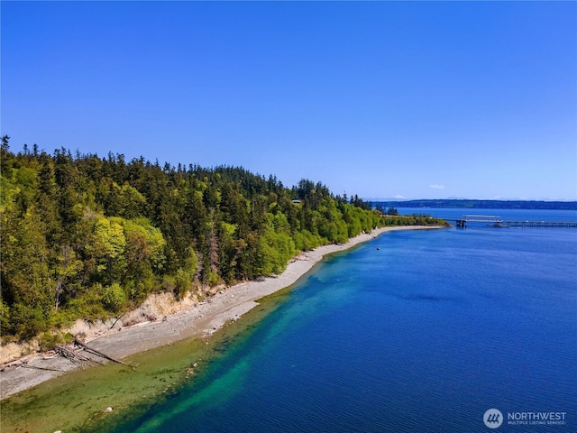 131 Linda View Dr, Port Ludlow, WA 98365 - photo 26