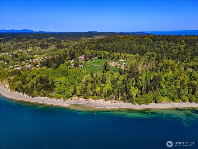 131 Linda View Dr, Port Ludlow, WA 98365 - photo 27