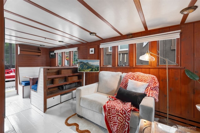 living area with wood walls