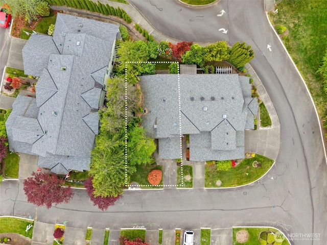 bird's eye view