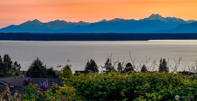 12739 7th Ave NW, Seattle, WA 98177 - property view of mountains