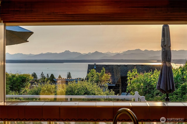 12739 7th Ave NW, Seattle, WA 98177 - view of water feature with a mountain view