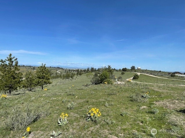 view of local wilderness featuring a rural view