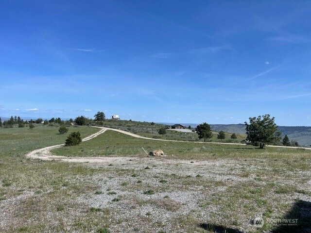 view of local wilderness with a rural view