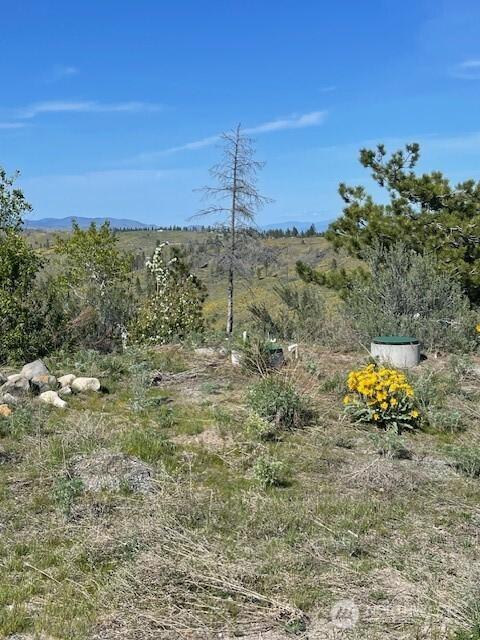 view of nature