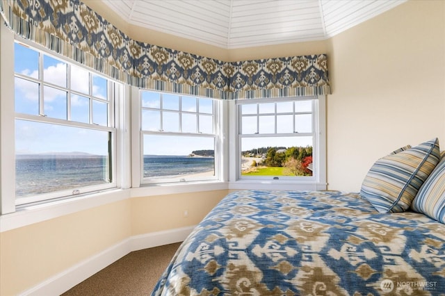 5848 Mutiny Bay Rd, Freeland, WA 98249 - bedroom featuring carpet floors, a water view, baseboards, and multiple windows