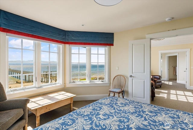 5848 Mutiny Bay Rd, Freeland, WA 98249 - bedroom with a water view, baseboards, and carpet