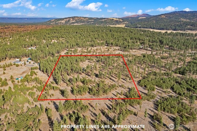 5742 Corkscrew Canyon Rd, Tumtum, WA 99034