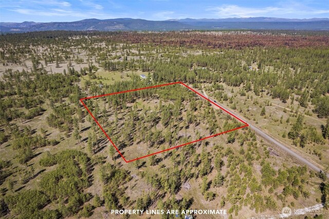 5742 Corkscrew Canyon Rd, Tumtum, WA 99034