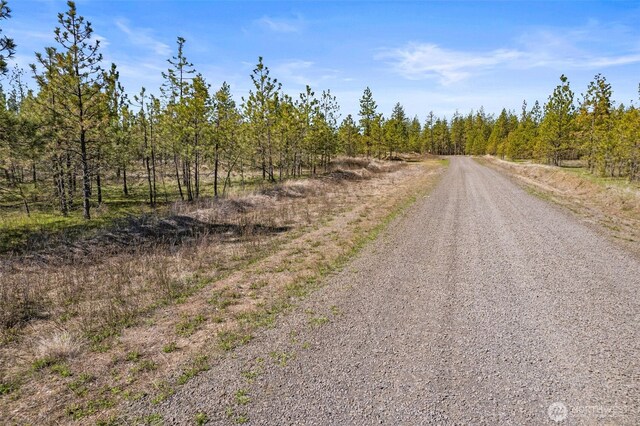 5742 Corkscrew Canyon Rd, Tumtum, WA 99034