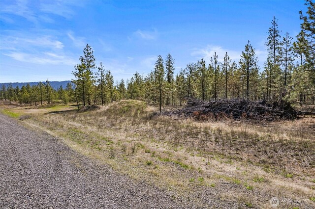 5742 Corkscrew Canyon Rd, Tumtum, WA 99034