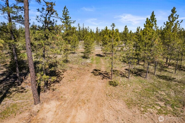 5742 Corkscrew Canyon Rd, Tumtum, WA 99034