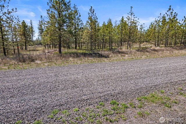 5742 Corkscrew Canyon Rd, Tumtum, WA 99034