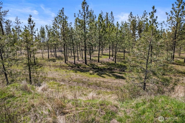 5742 Corkscrew Canyon Rd, Tumtum, WA 99034