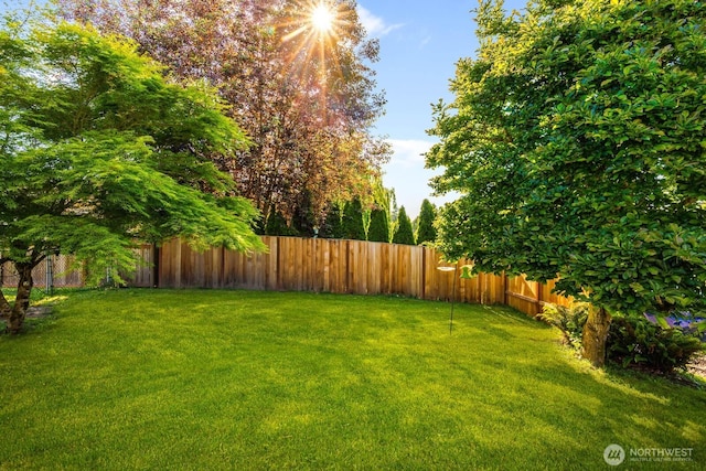 1002 S Adams St, Tacoma, WA 98405 - view of yard
