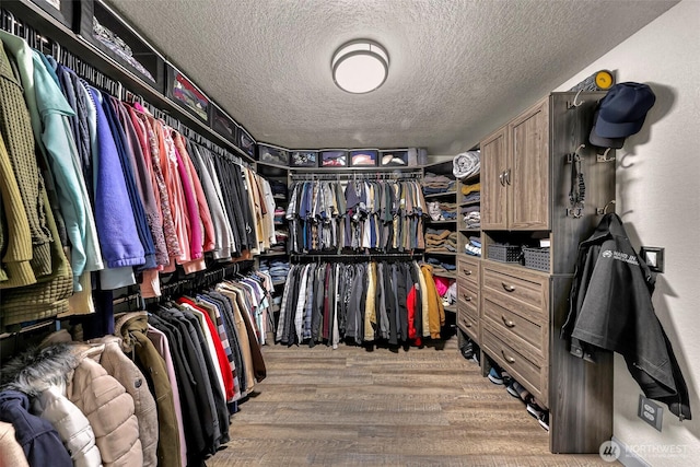 walk in closet with light wood-type flooring