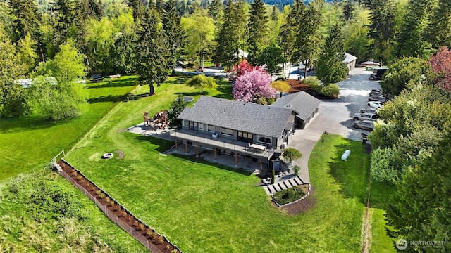 bird's eye view