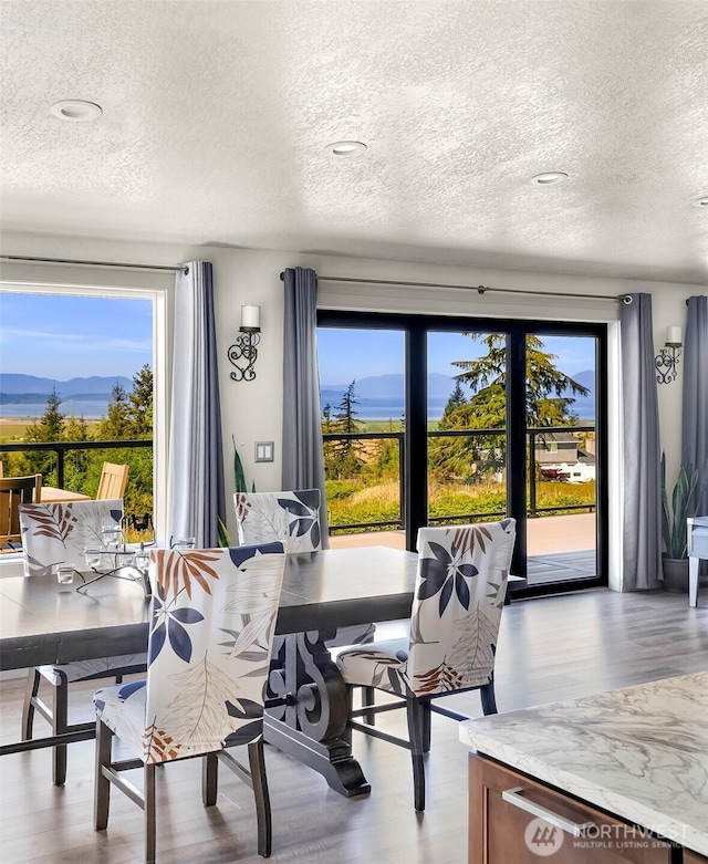 dining area featuring a textured ceiling and wood finished floors
