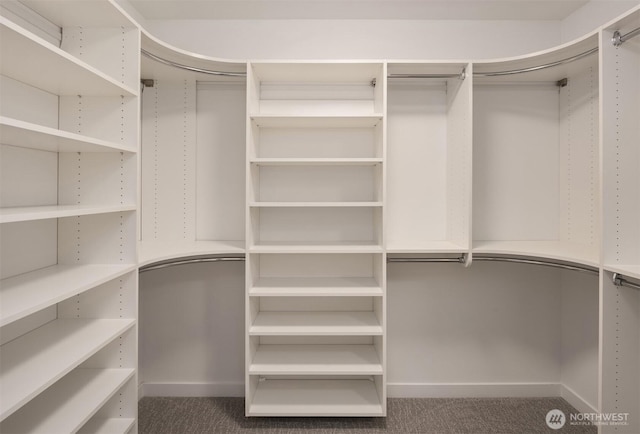 9732 Slater Ave NE, Kirkland, WA 98033 - walk in closet with carpet flooring
