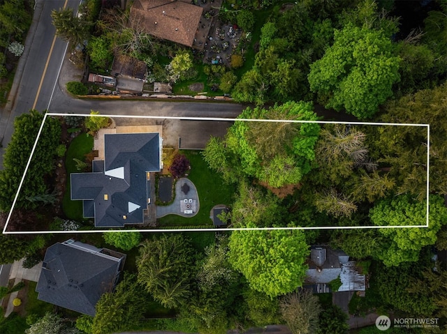 9732 Slater Ave NE, Kirkland, WA 98033 - drone / aerial view