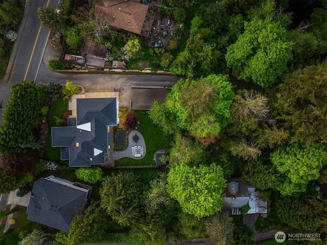 9732 Slater Ave NE, Kirkland, WA 98033 - drone / aerial view