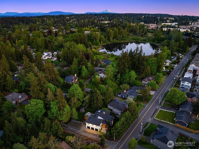 9732 Slater Ave NE, Kirkland, WA 98033 - aerial view at dusk featuring a residential view, a view of trees, and a water and mountain view