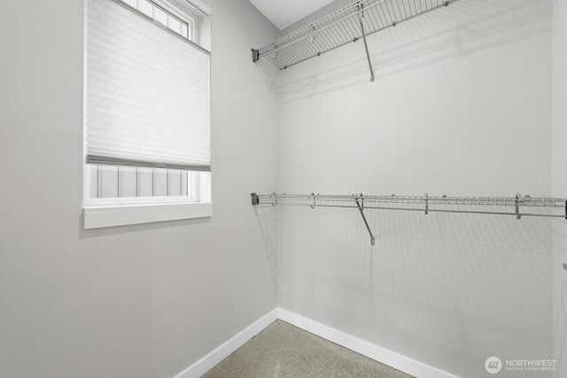 2725A S Norman St, Seattle, WA 98144 - photo 17