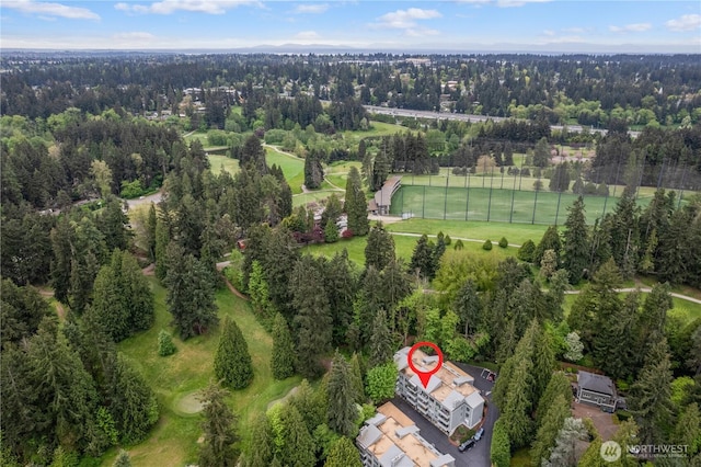 drone / aerial view