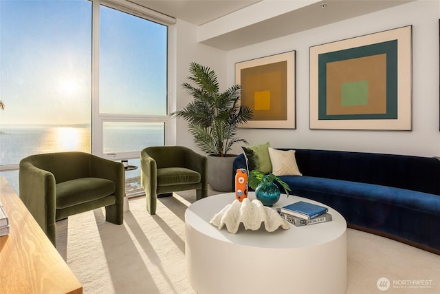 community lobby featuring a water view