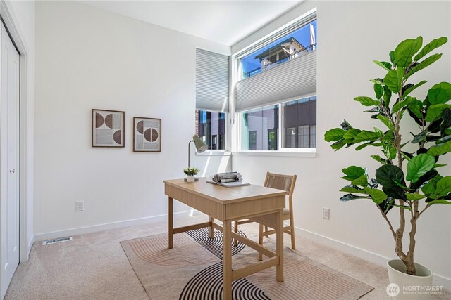 office with carpet floors, baseboards, and visible vents