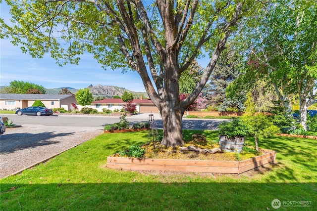 view of yard featuring a mountain view