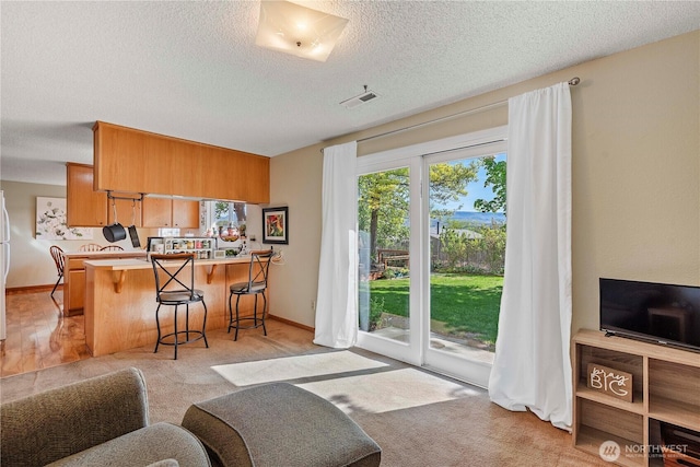 interior space with light colored carpet, a textured ceiling, baseboards, and visible vents