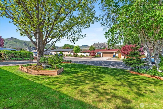 view of yard featuring a garage and a mountain view