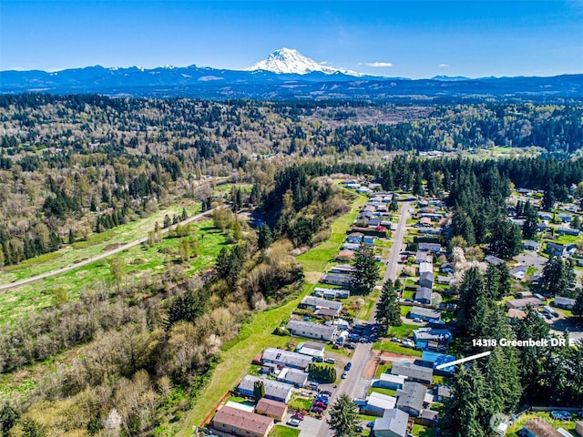 14318 Greenbelt Dr E, Bonney Lake, WA 98391 - photo 3