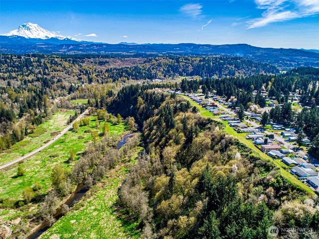 14318 Greenbelt Dr E, Bonney Lake, WA 98391 - photo 29