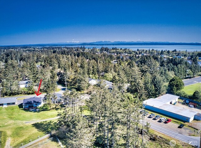 523 Puffin Ave NE, Ocean Shores, WA 98569 - photo 37