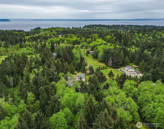 drone / aerial view with a water view and a forest view