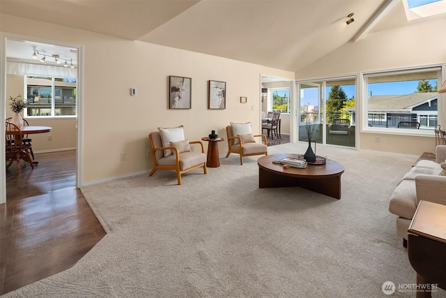 living area featuring baseboards, carpet, a wealth of natural light, and lofted ceiling with skylight