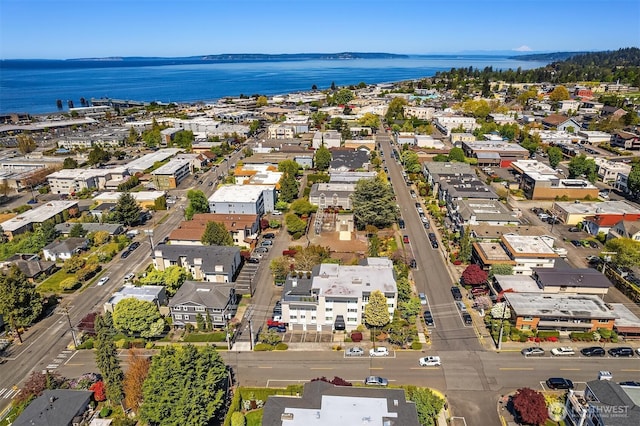 bird's eye view with a water view