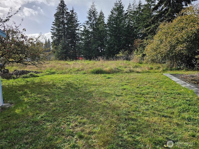 120 S Park, Oakville, WA 98568 - photo 33