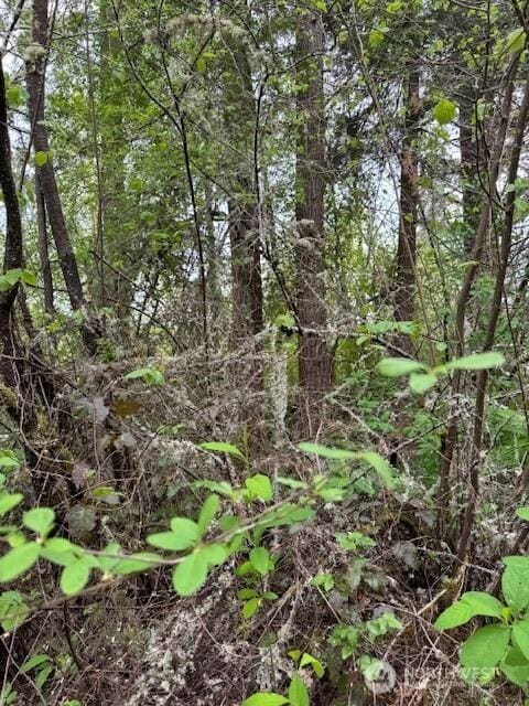 0 Clinton Rd, Chehalis, WA 98532