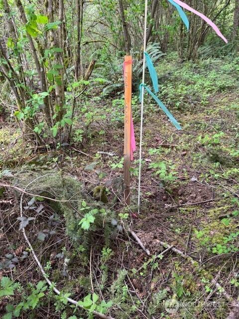 0 Clinton Rd, Chehalis, WA 98532