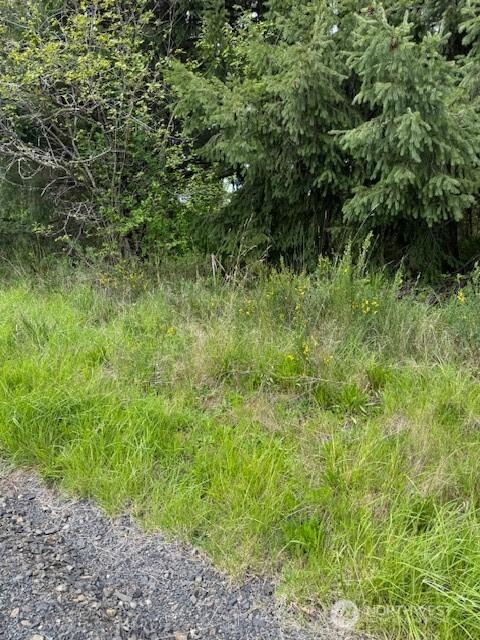 0 Clinton Rd, Chehalis, WA 98532
